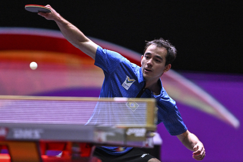 的黑马范式 的黑马范式