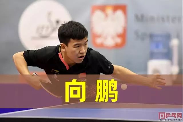 案例分析